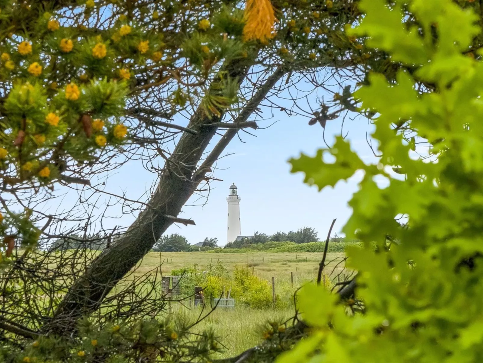 "Käthe" - 700m from the sea