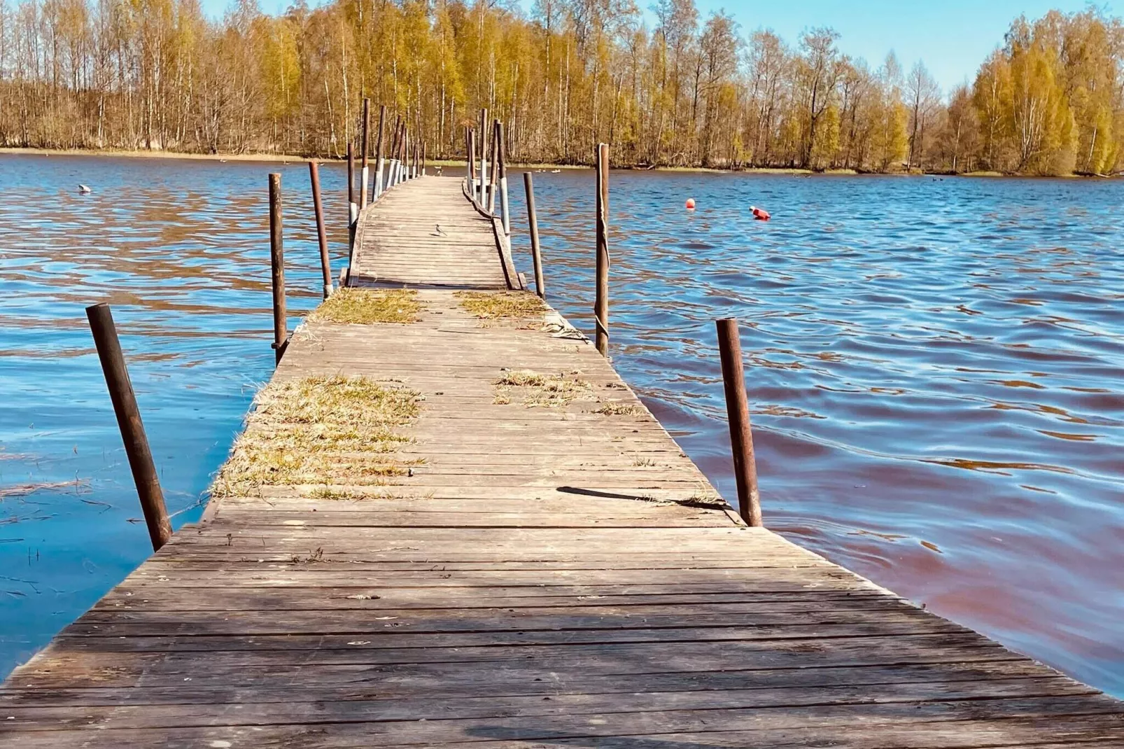 4 persoons vakantie huis in ALVESTA-By Traum
