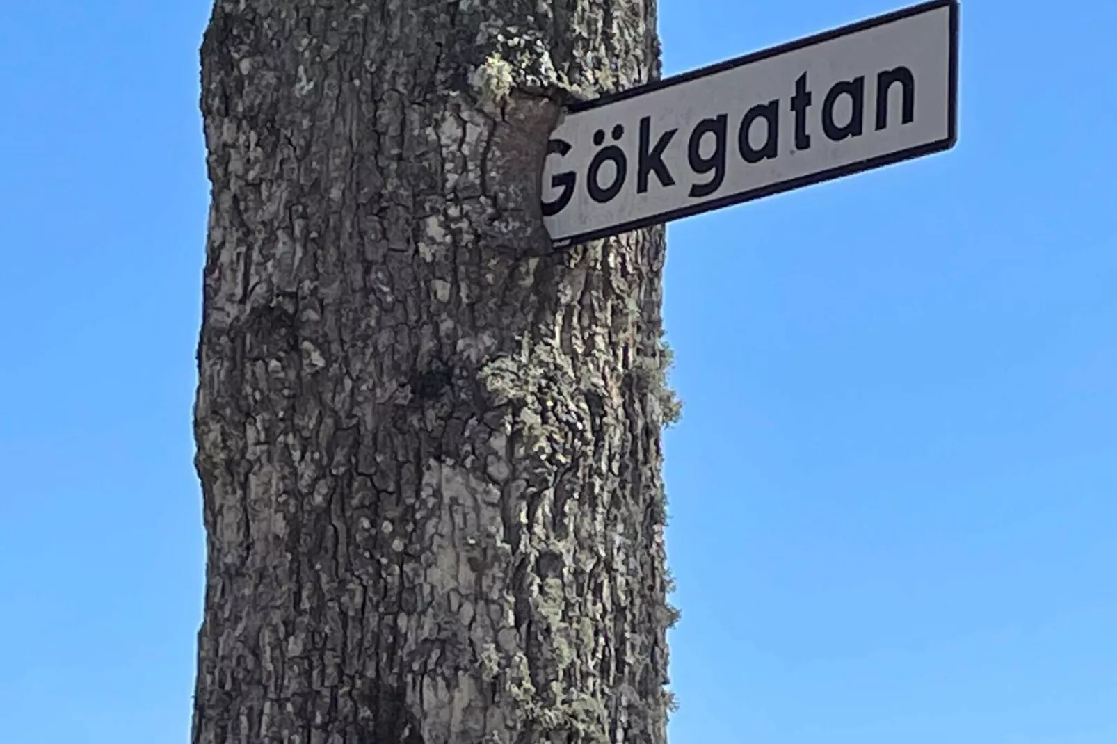 4 persoons vakantie huis in ALVESTA-By Traum-Niet-getagd