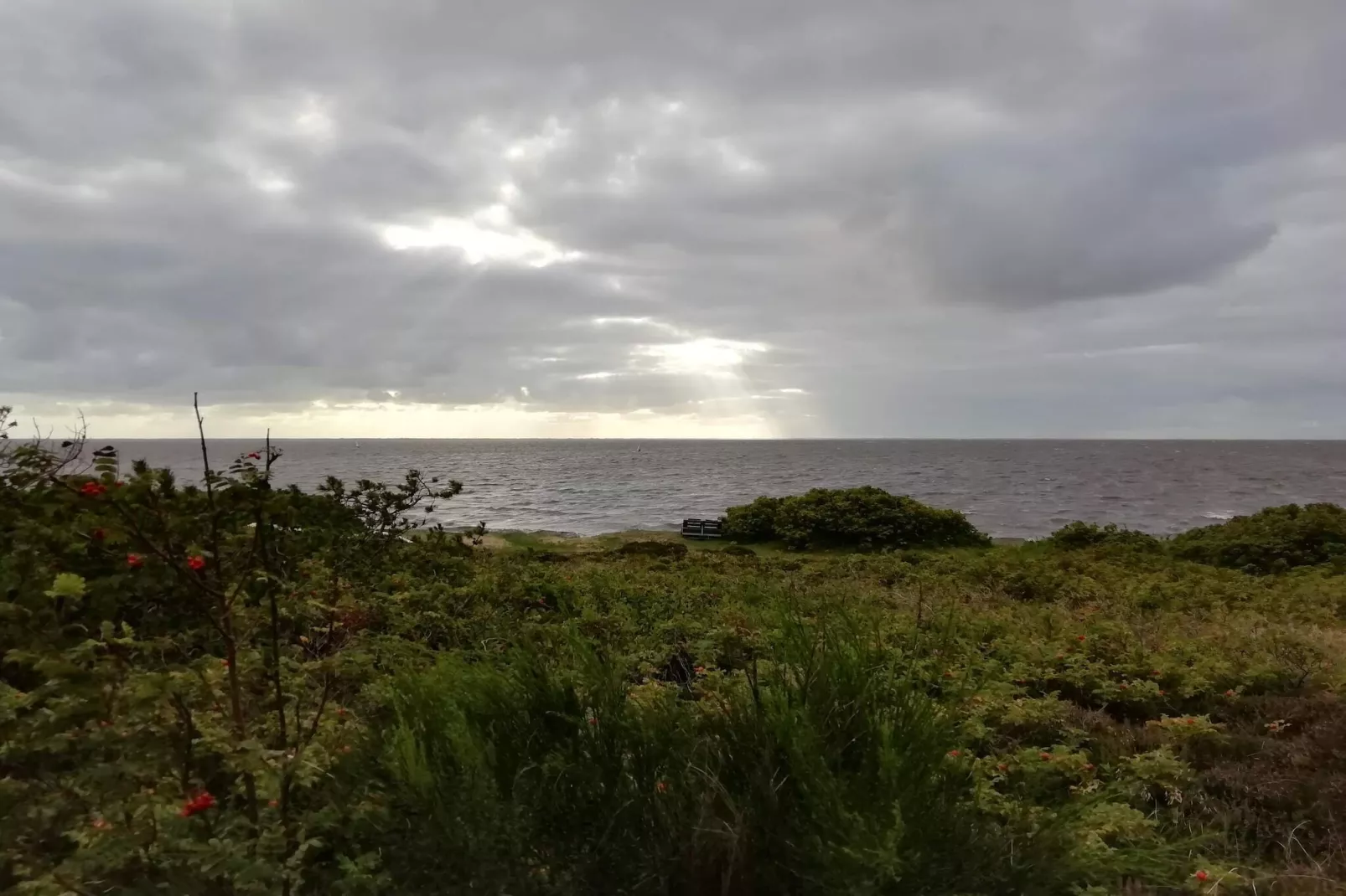 6 persoons vakantie huis in Hemmet-Waterzicht