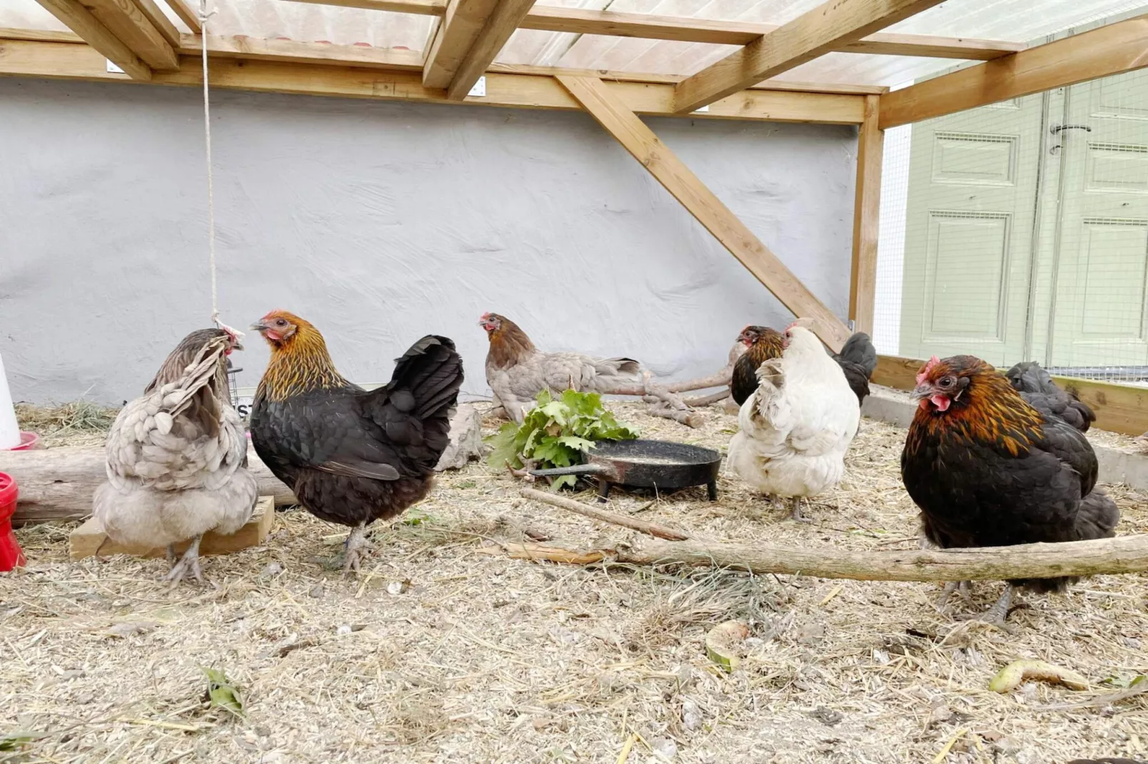 4 persoons vakantie huis in Mellösa-Buitenlucht