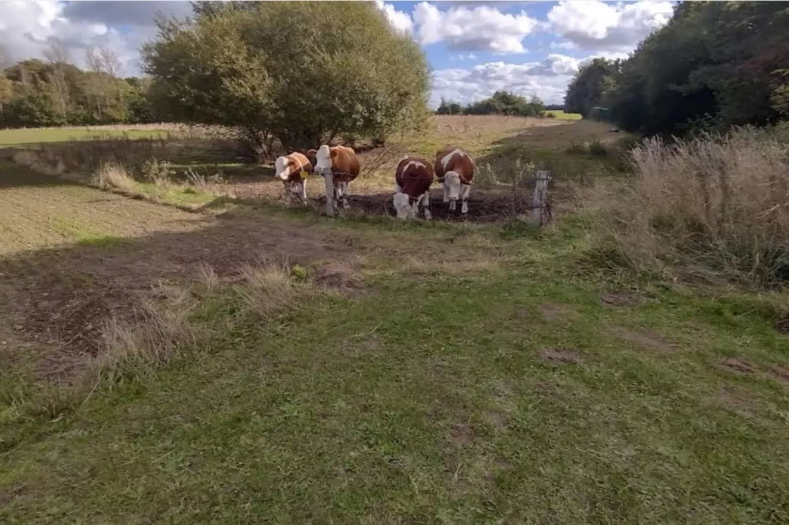 Kustsereniteit in Jaegerspris-By Traum-Niet-getagd