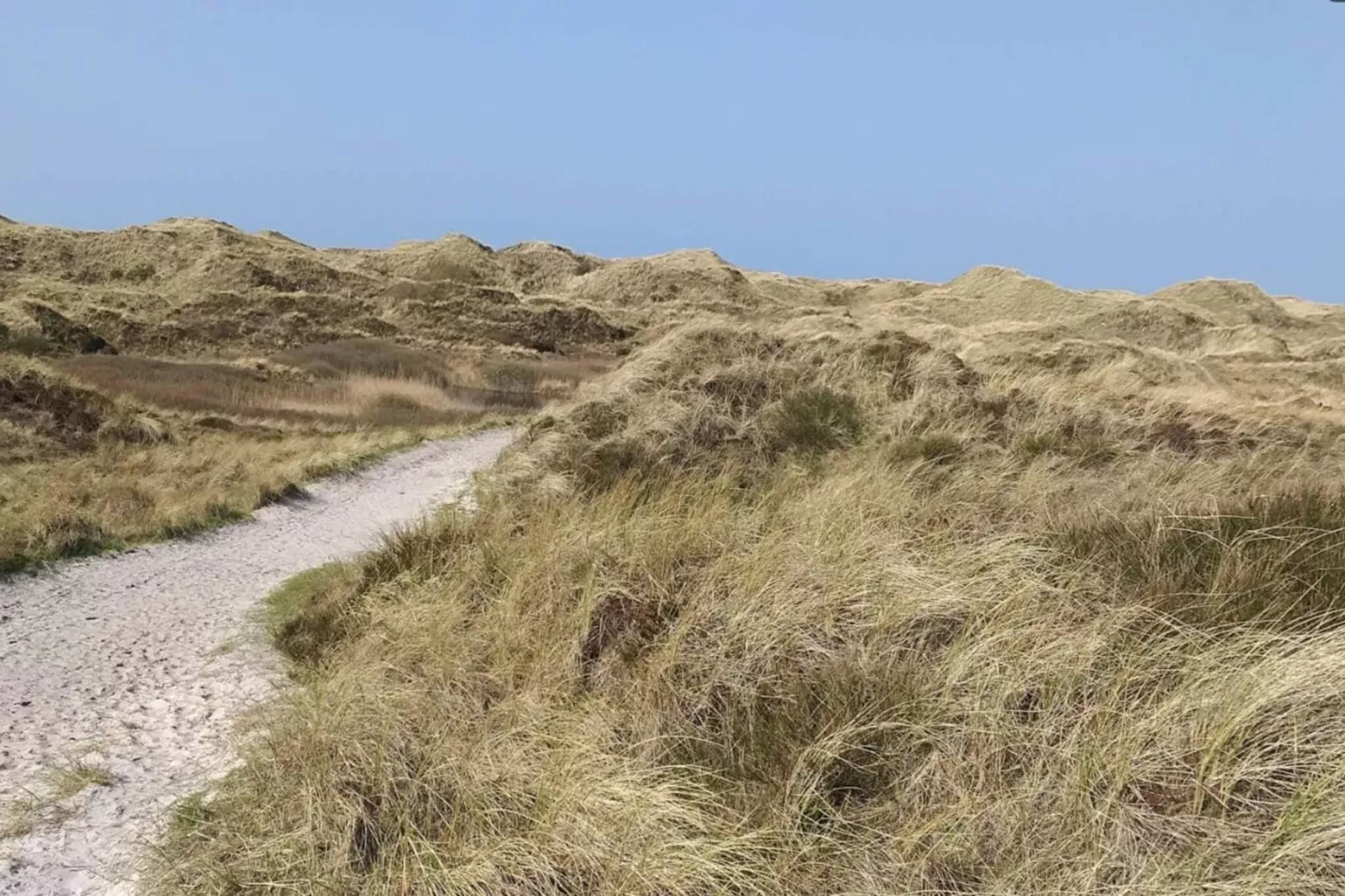 8 persoons vakantie huis in Henne-Niet-getagd