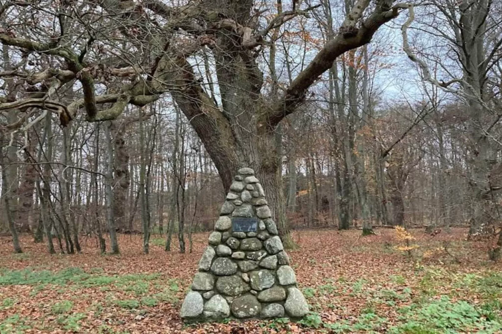 4 persoons vakantie huis in Faxe Ladeplads-Niet-getagd