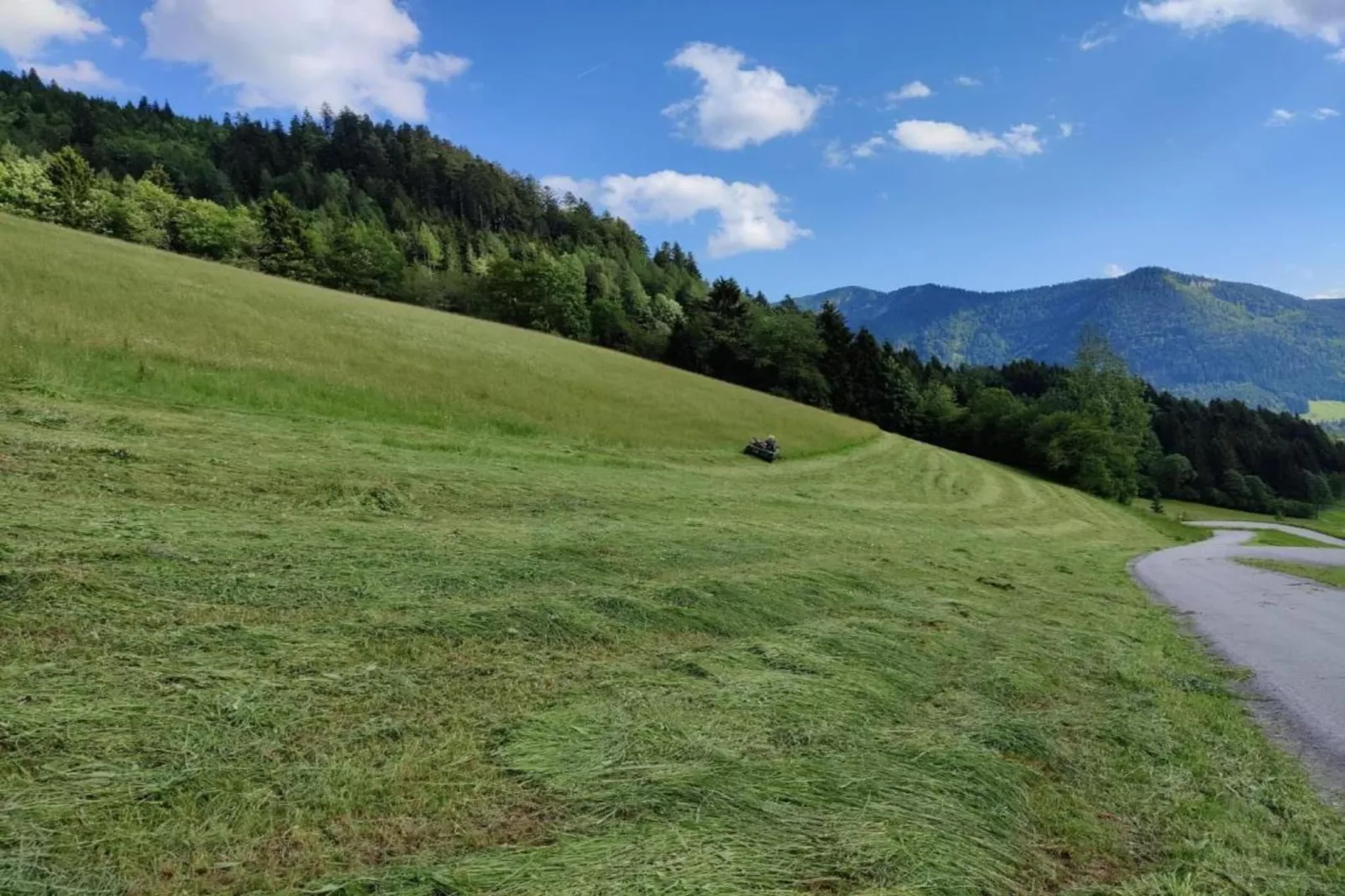 Ferienhaus Rieger-Gebieden zomer 20km