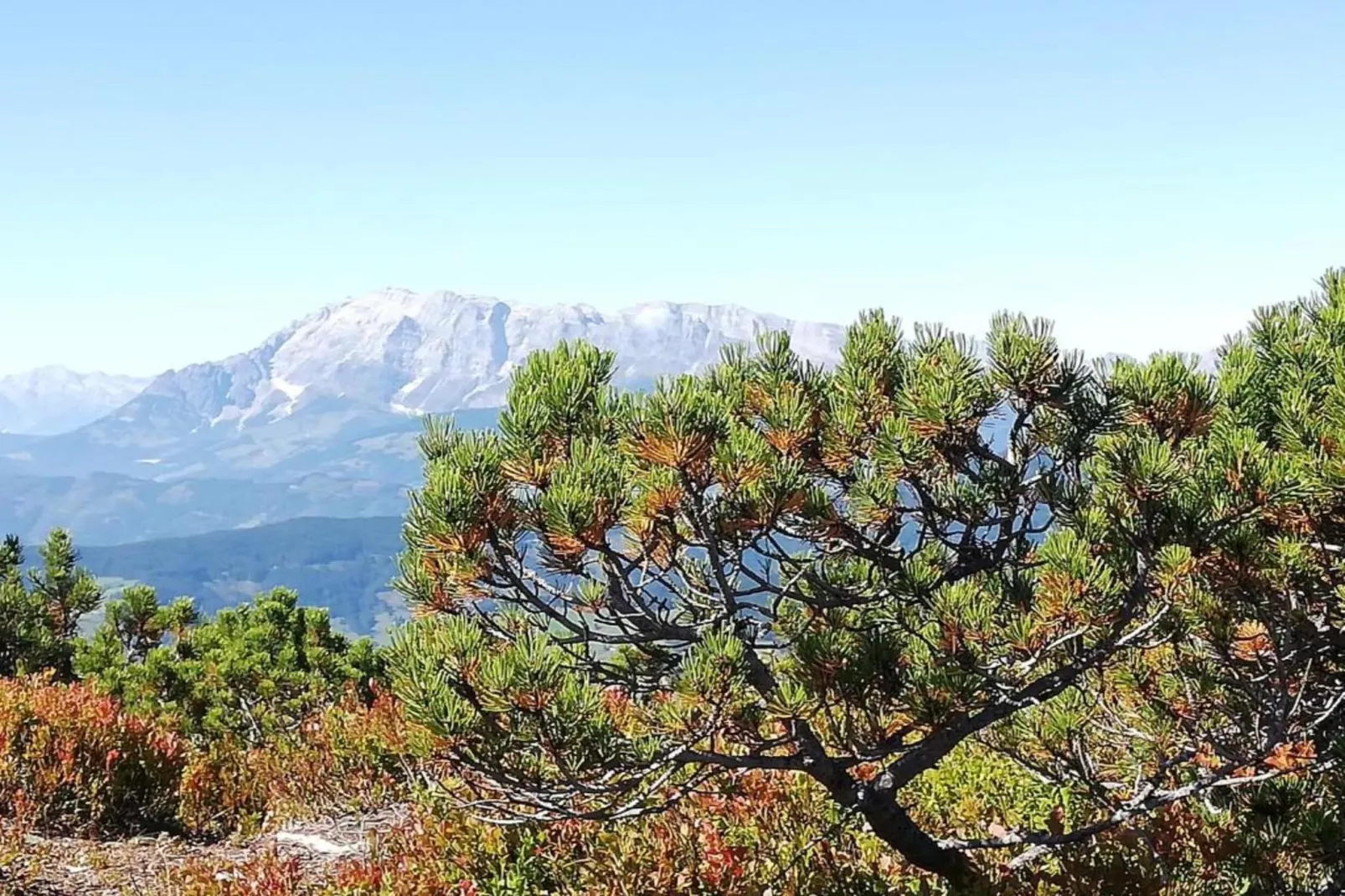 Oberkranzhof-Gebieden zomer 20km