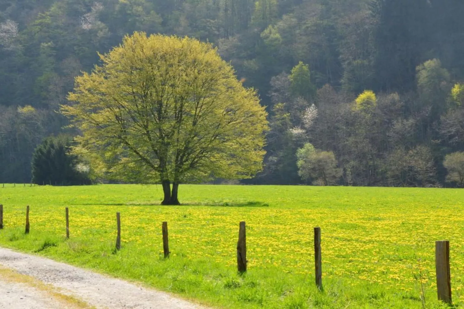 Le Chalet des Robinsons-Gebieden zomer 20km