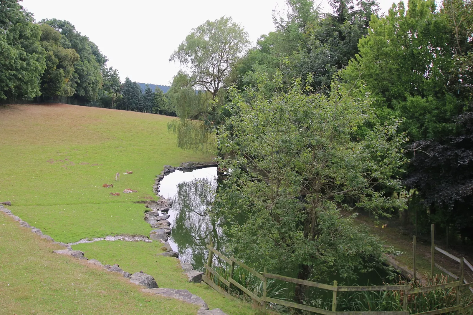 Oasis-Gebieden zomer 1km