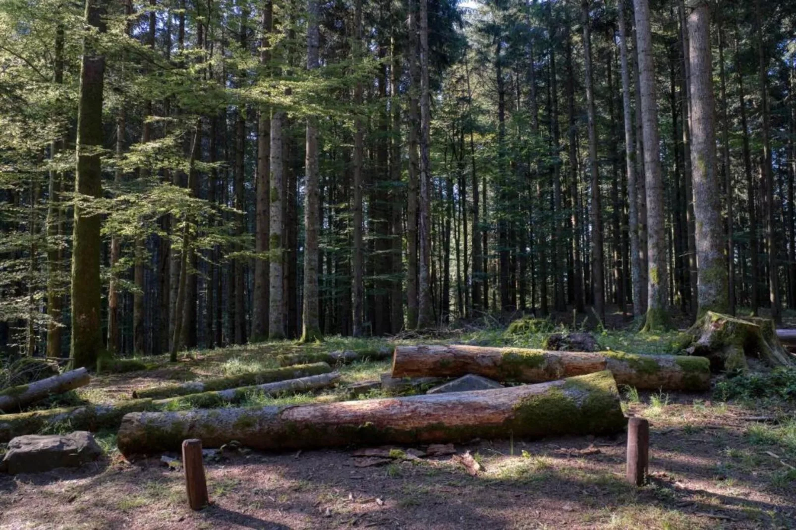 Le Paradis et Espace-Gebieden zomer 20km