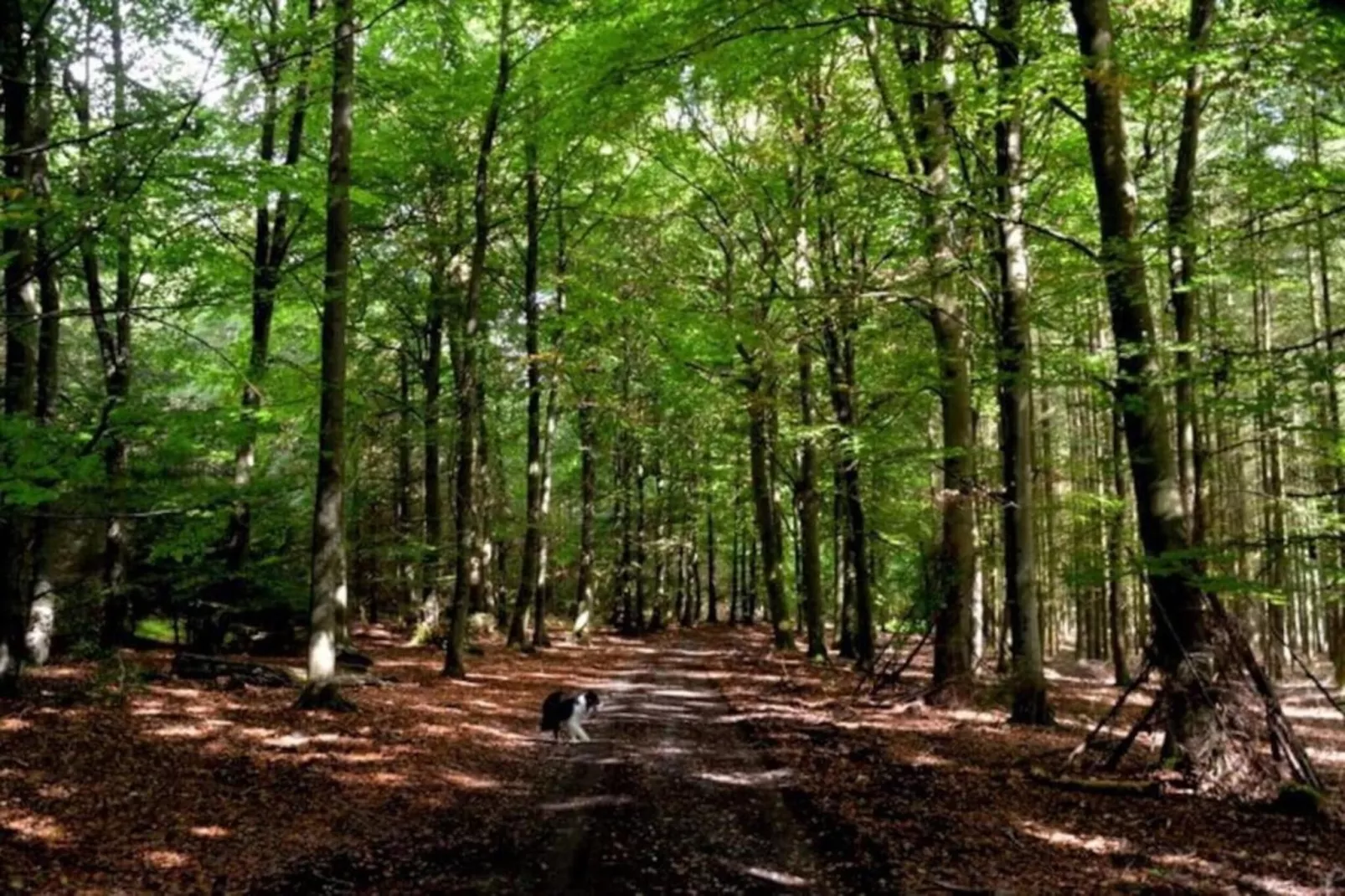Horécalienne-Gebieden zomer 20km