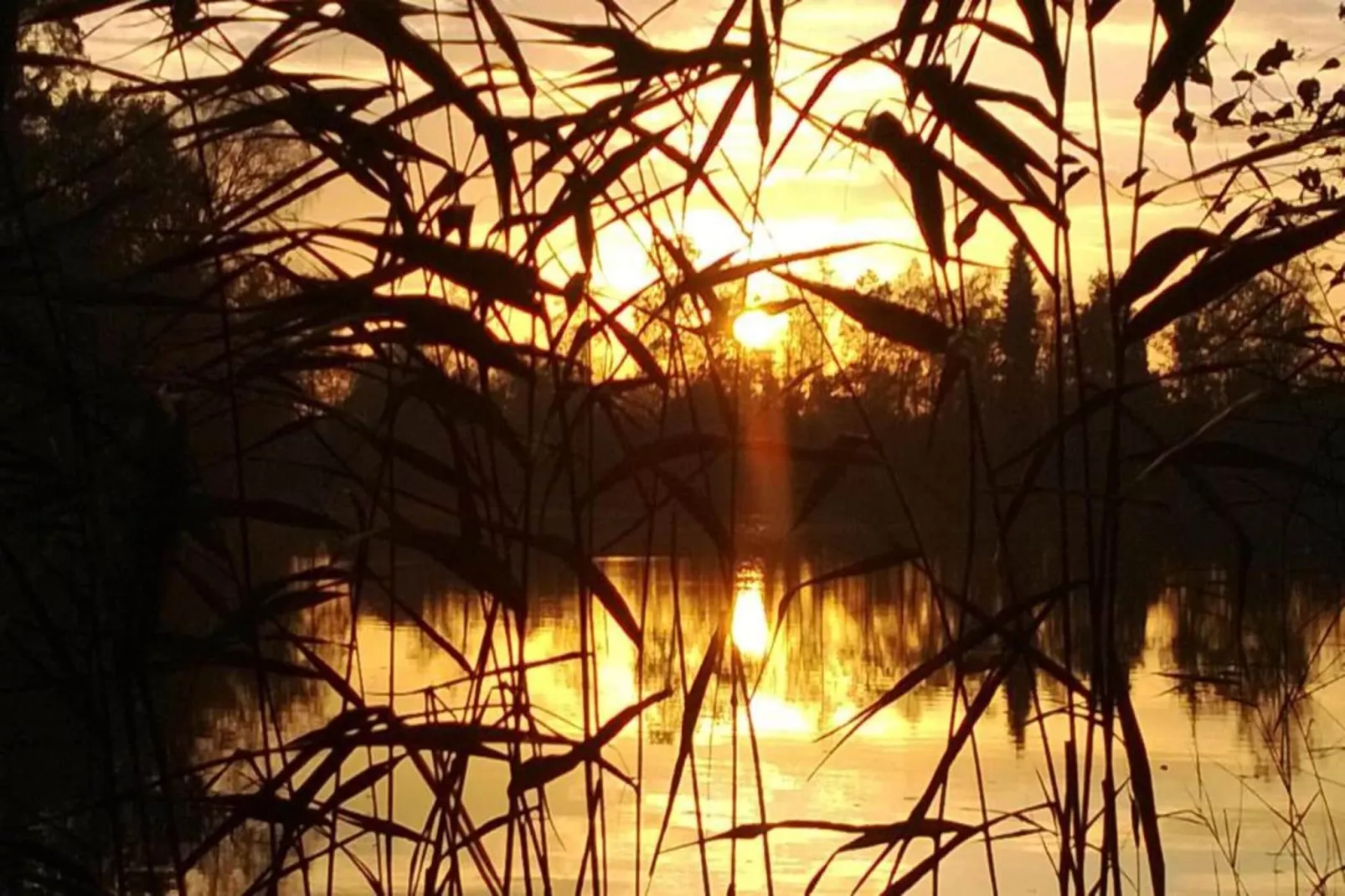 Les Sittelles-Gebieden zomer 20km