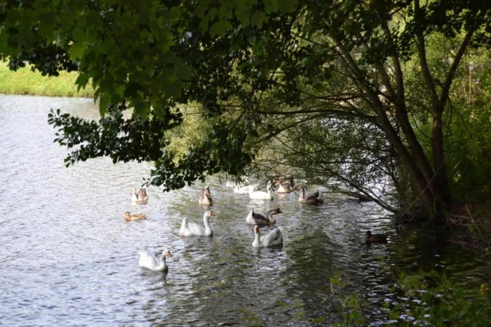 Libellule Style-Gebieden zomer 20km