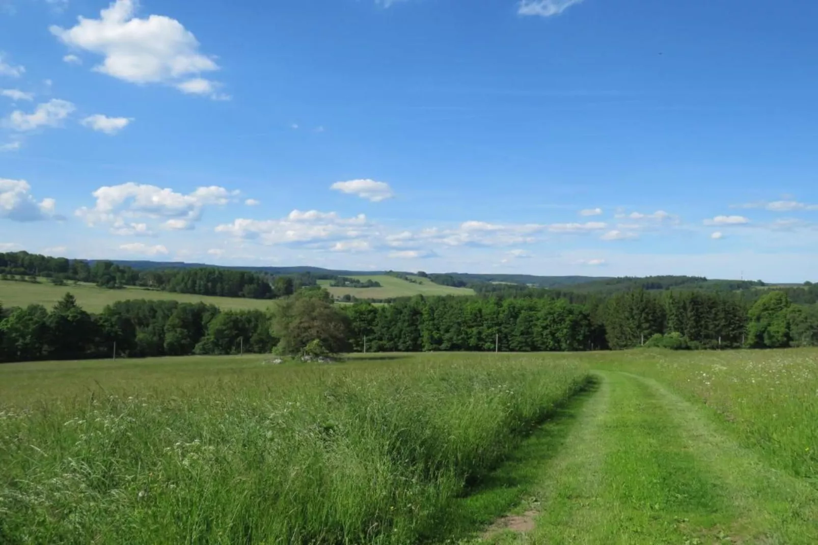 Dum u Lesa-Gebieden zomer 5km
