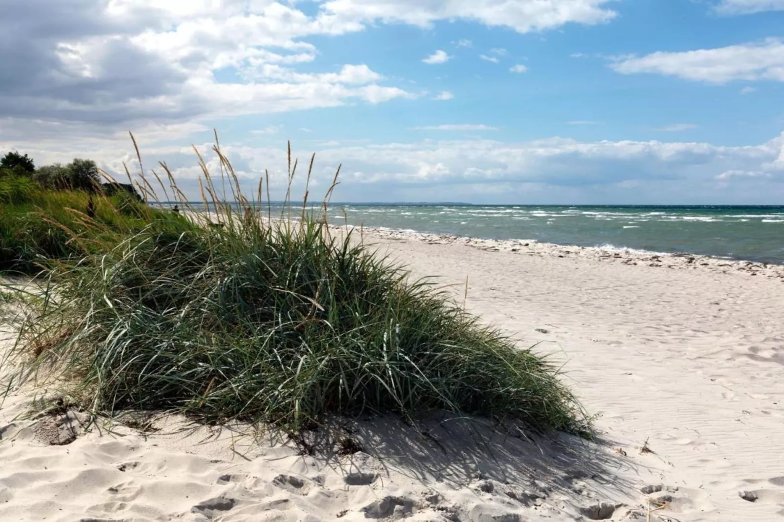 Bei Zweedorf-Gebieden zomer 20km