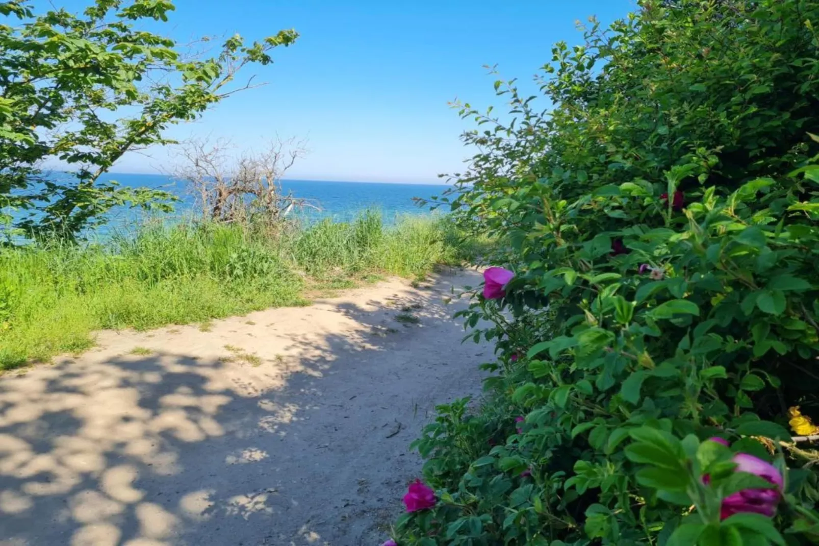 Das Haus Am Meer XXL-Gebieden zomer 1km