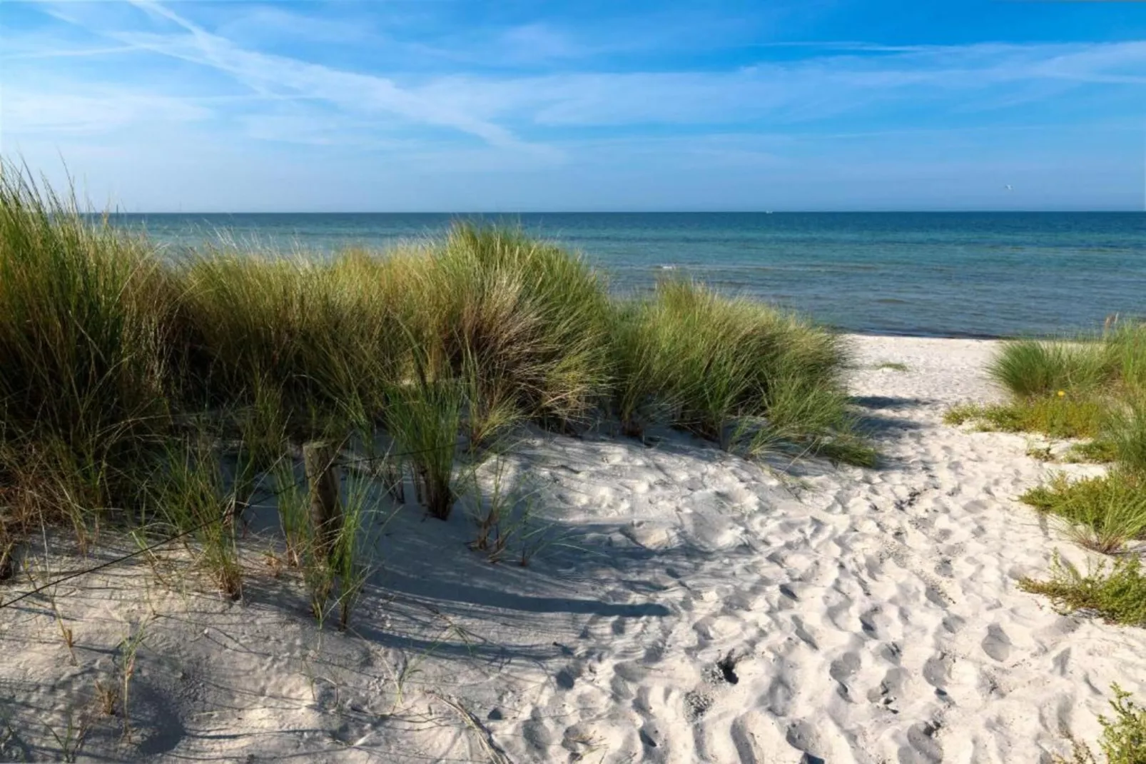 Ferienwohnung mit Gartenblick-Gebieden zomer 20km