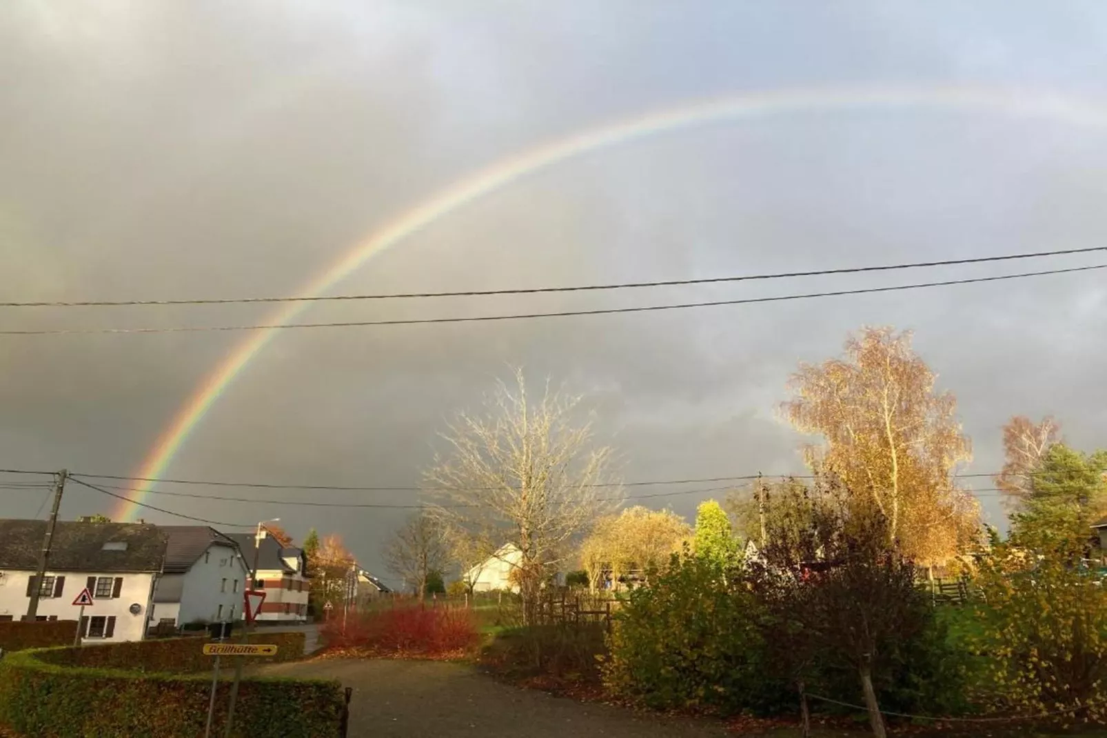 Reetdach-Gebieden zomer 20km