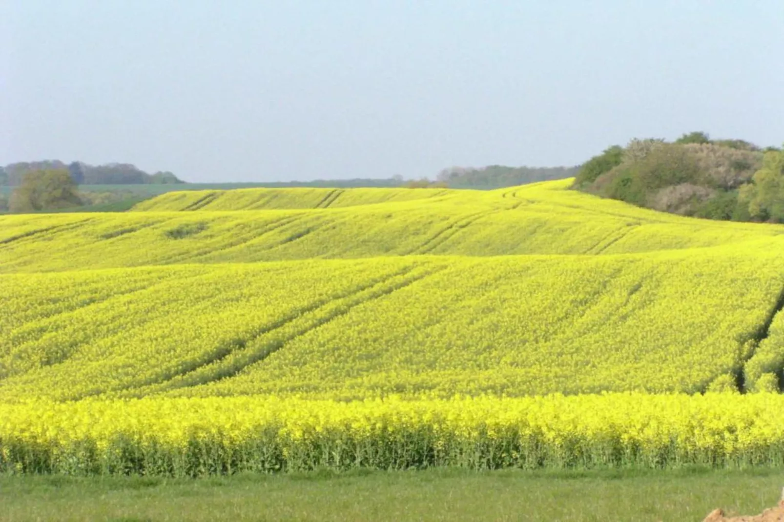 Schöne Aussichten Gerdshagen-Gebieden zomer 20km