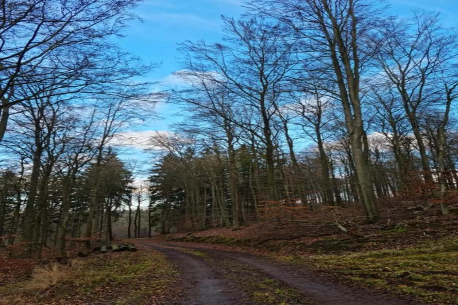 Ferienhaus Steinbach-Hallenberg-Gebieden zomer 20km