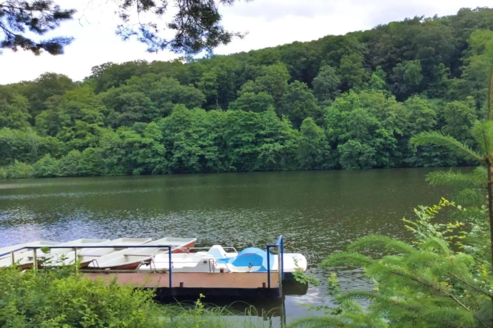 Friedrichshöhe-Gebieden zomer 5km