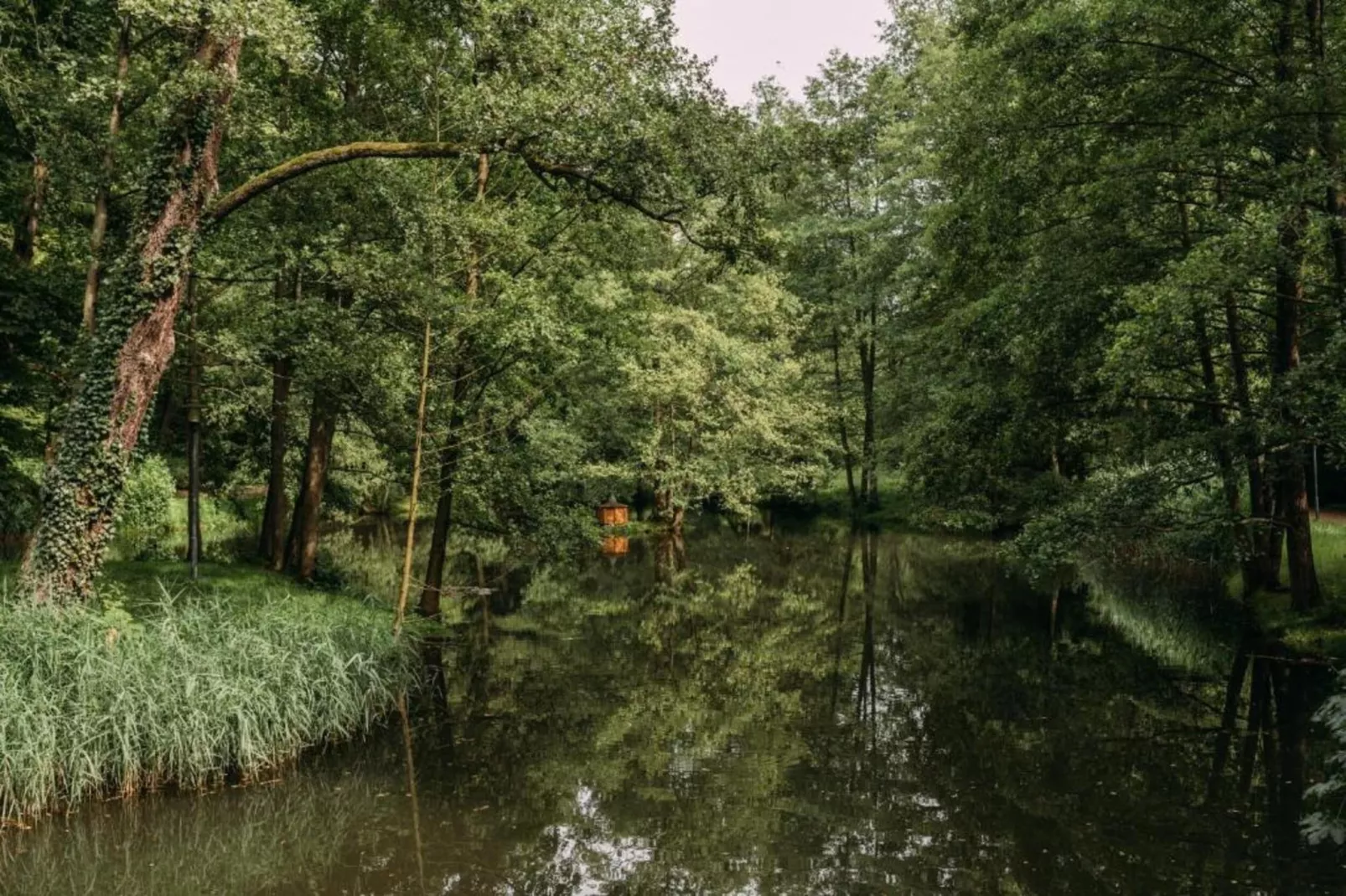 Im Erzgebirge-Gebieden zomer 20km