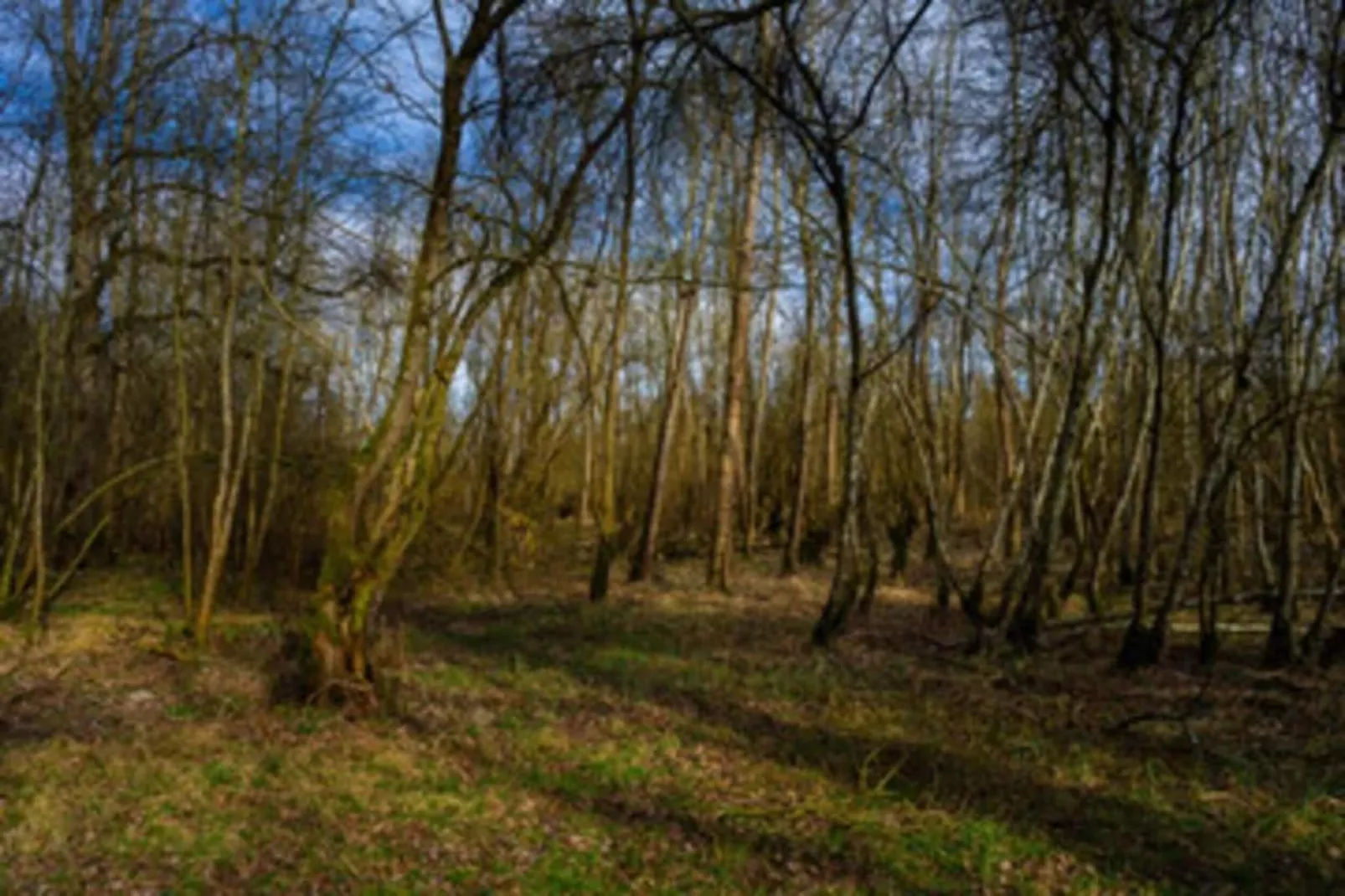 Feriendorf Natur pur 2-Gebieden zomer 20km