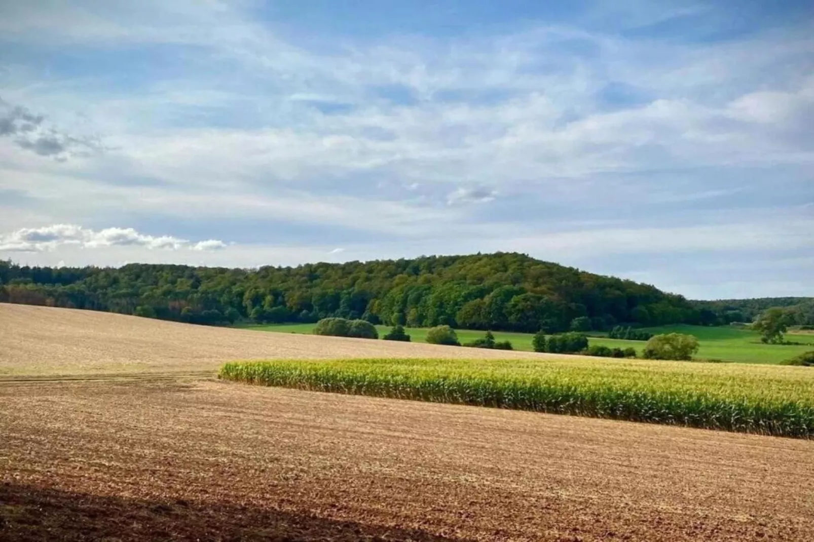 Ober-Waroldern-Gebieden zomer 20km