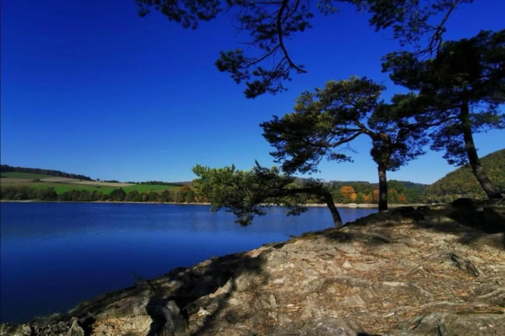 Sauerland - Diemelsee-Gebieden zomer 5km