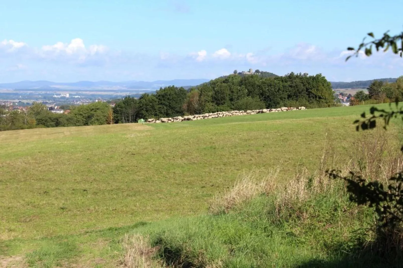 Haus Gisela-Gebieden zomer 20km