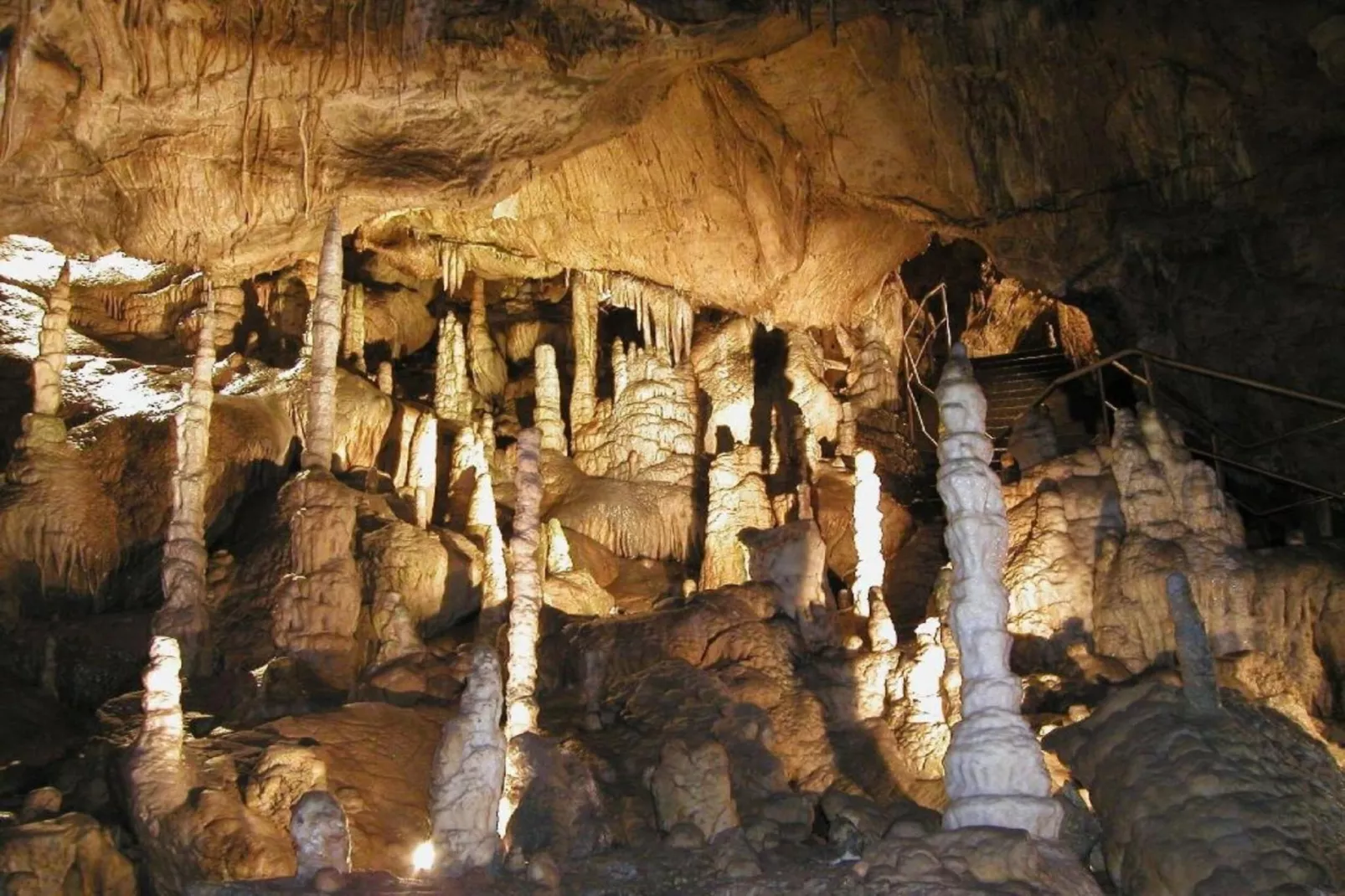 Bergfeld-Gebieden zomer 20km