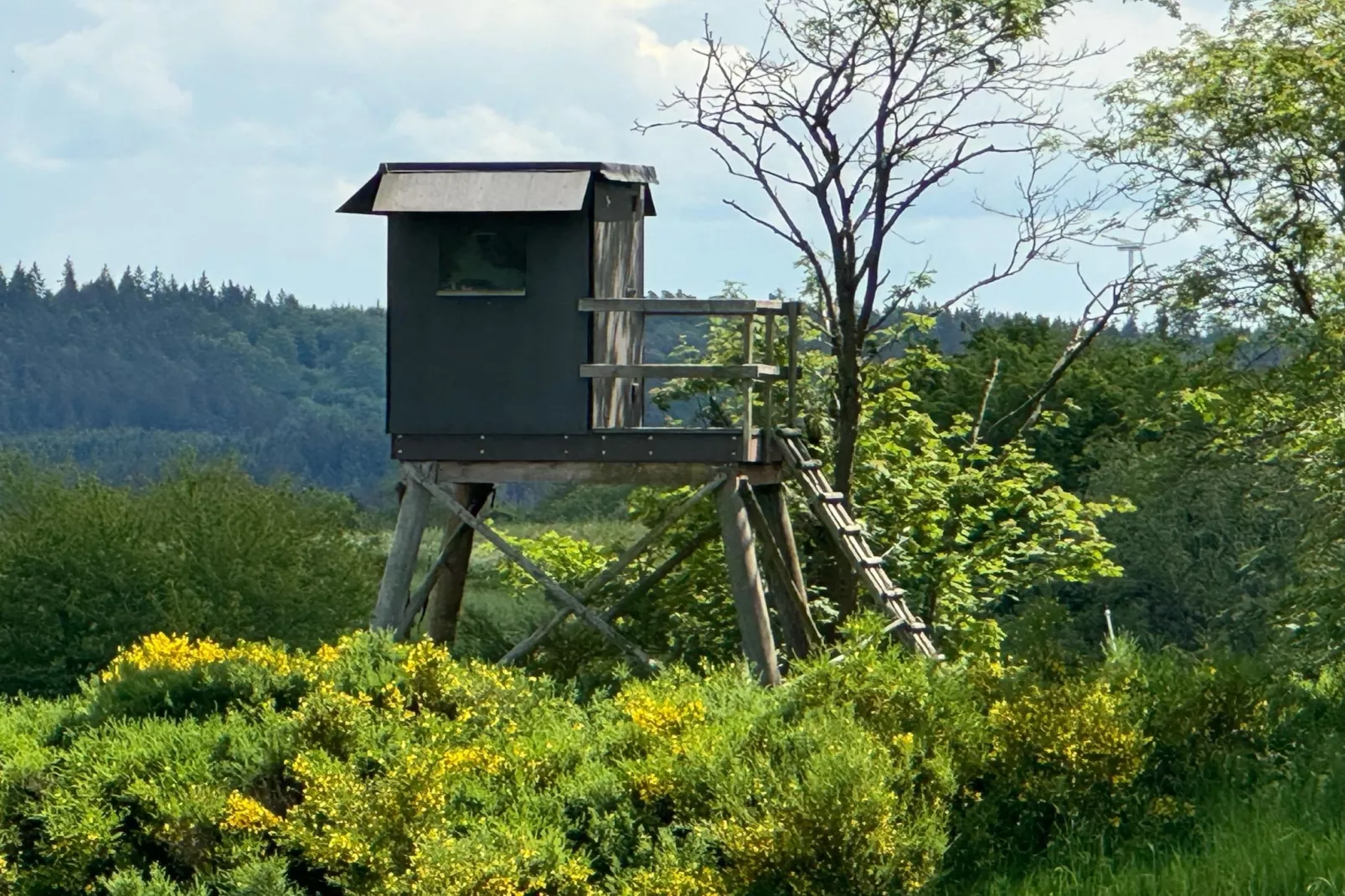Groepshuis Eifel-Gebieden zomer 20km
