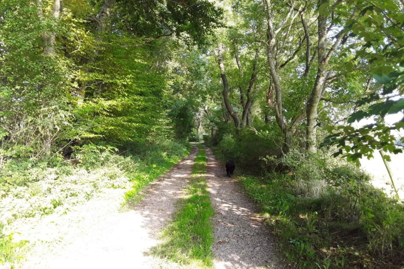 Morsbacher Hof II-Gebieden zomer 20km