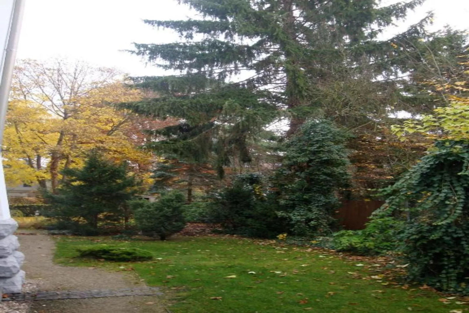 Eifelpark Kronenburger See-Gebieden zomer 20km