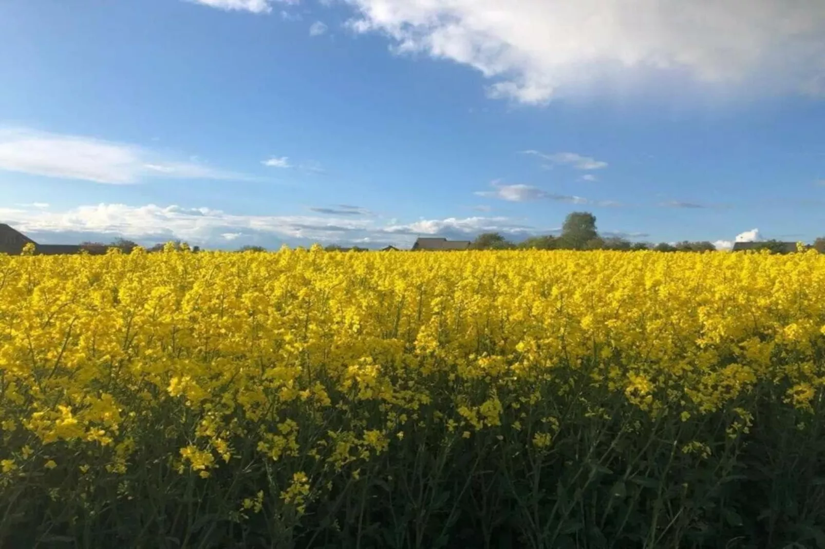 Pilmer 20-Gebieden zomer 20km