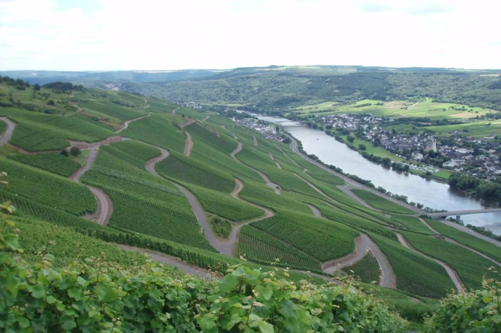 Weingut Justen-Kiebel-Gebieden zomer 20km