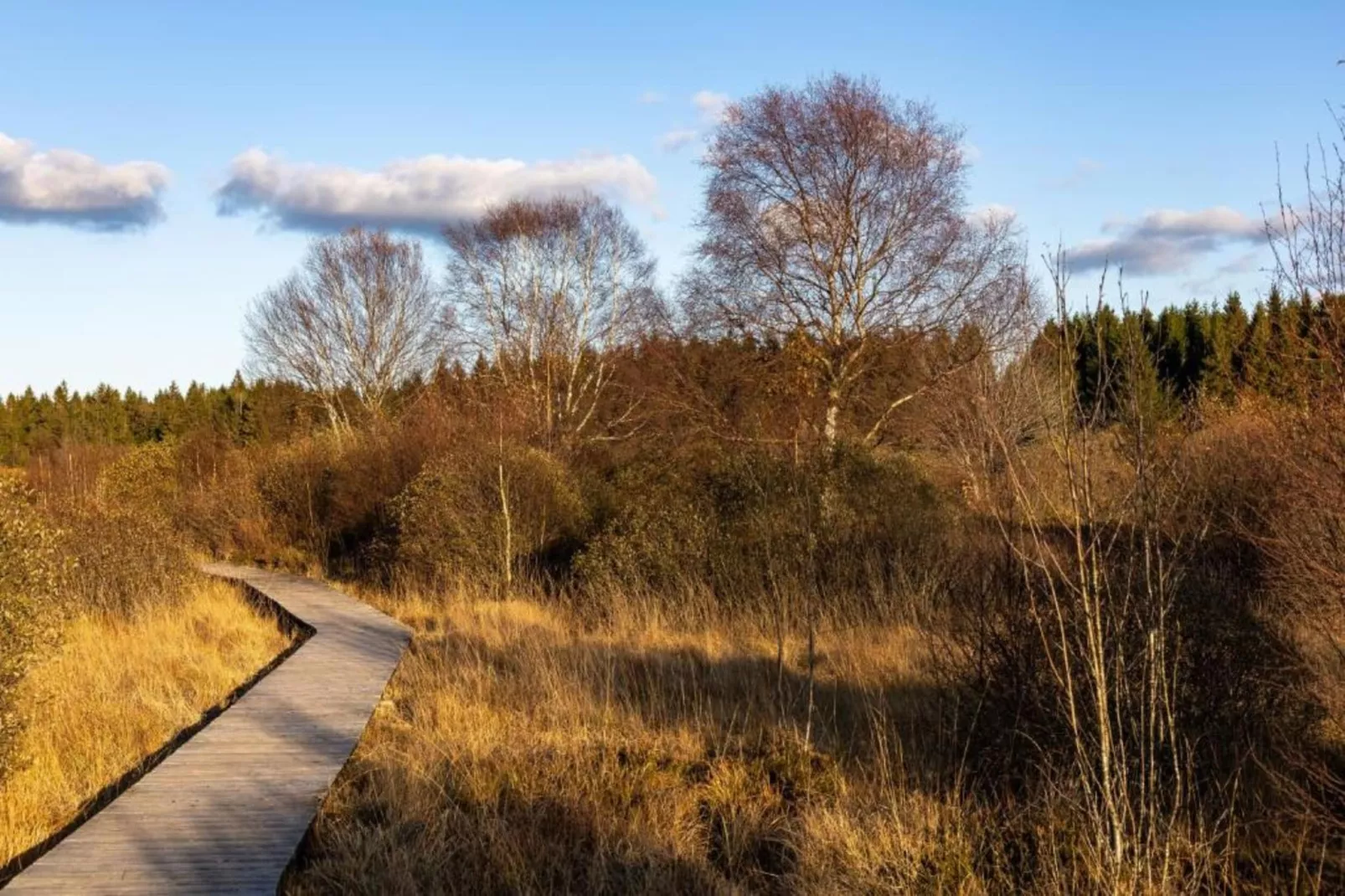 Feinen-Steils-Gebieden zomer 20km