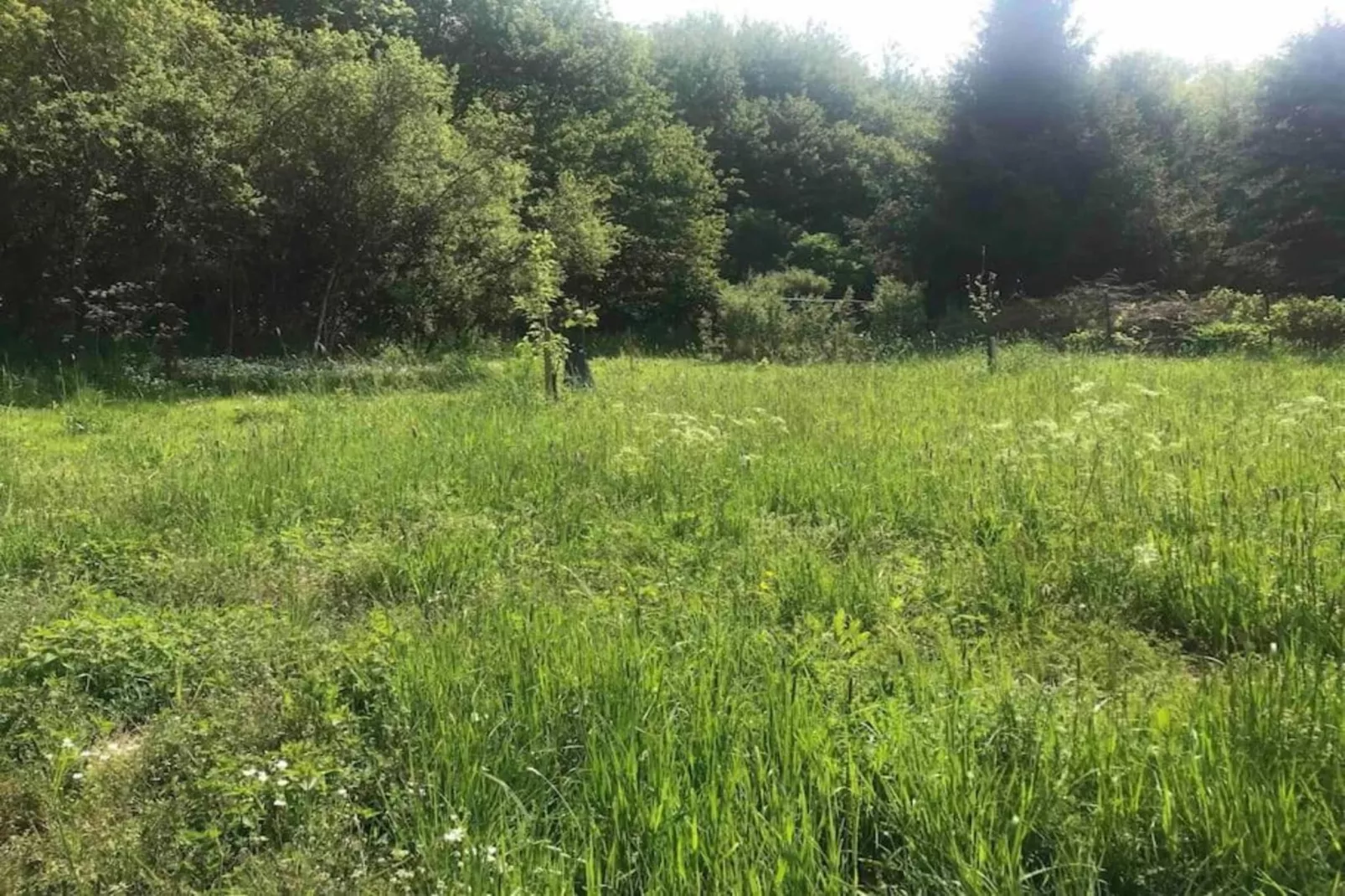 Ferienhaus Rühlen-Gebieden zomer 20km