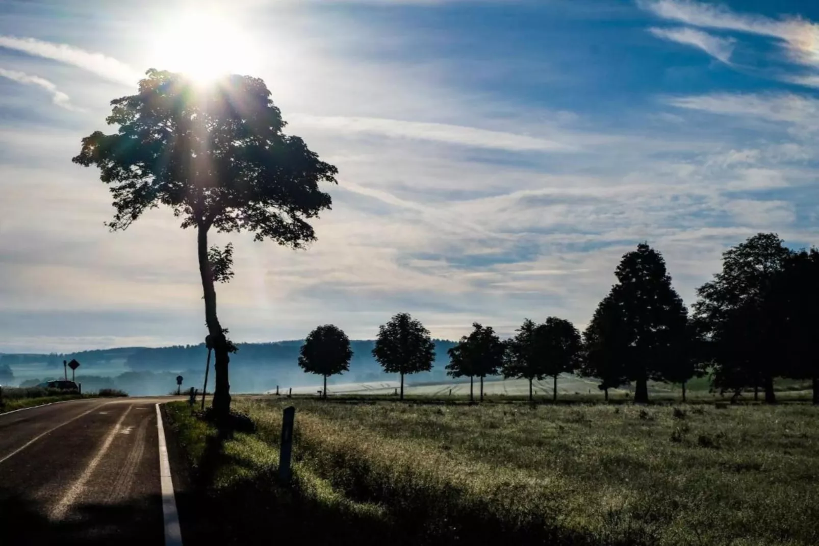 Feriendorf Reinskopf 1-Gebieden zomer 5km