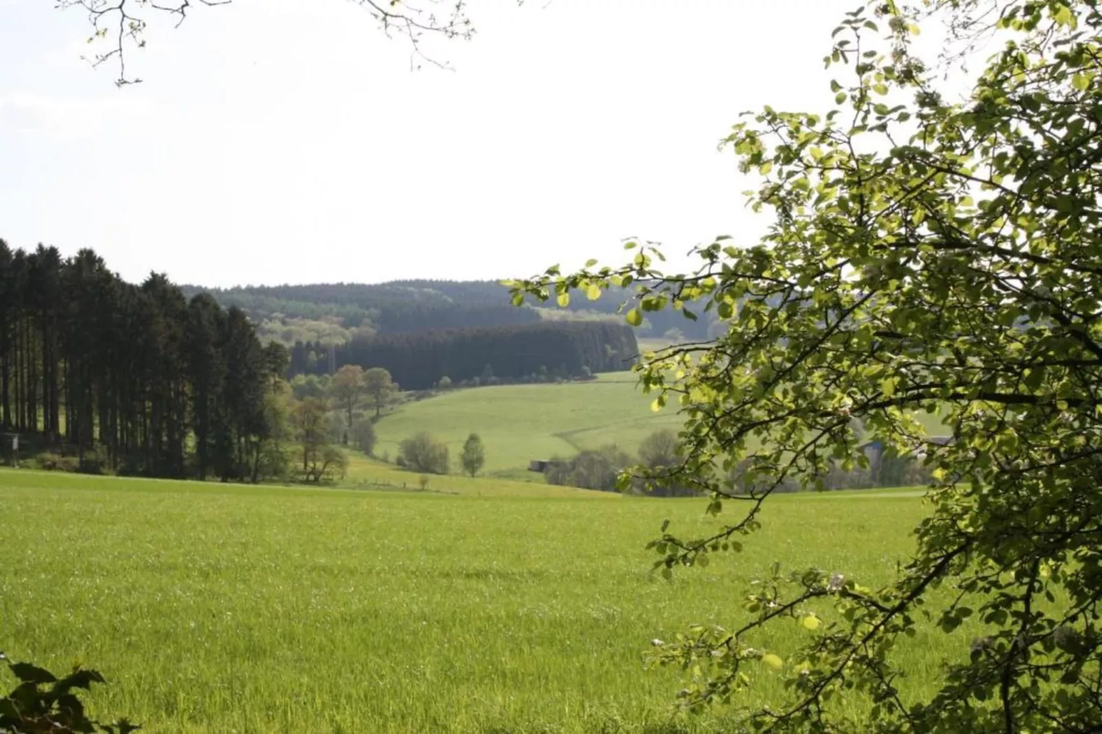 Dömer-Gebieden zomer 20km