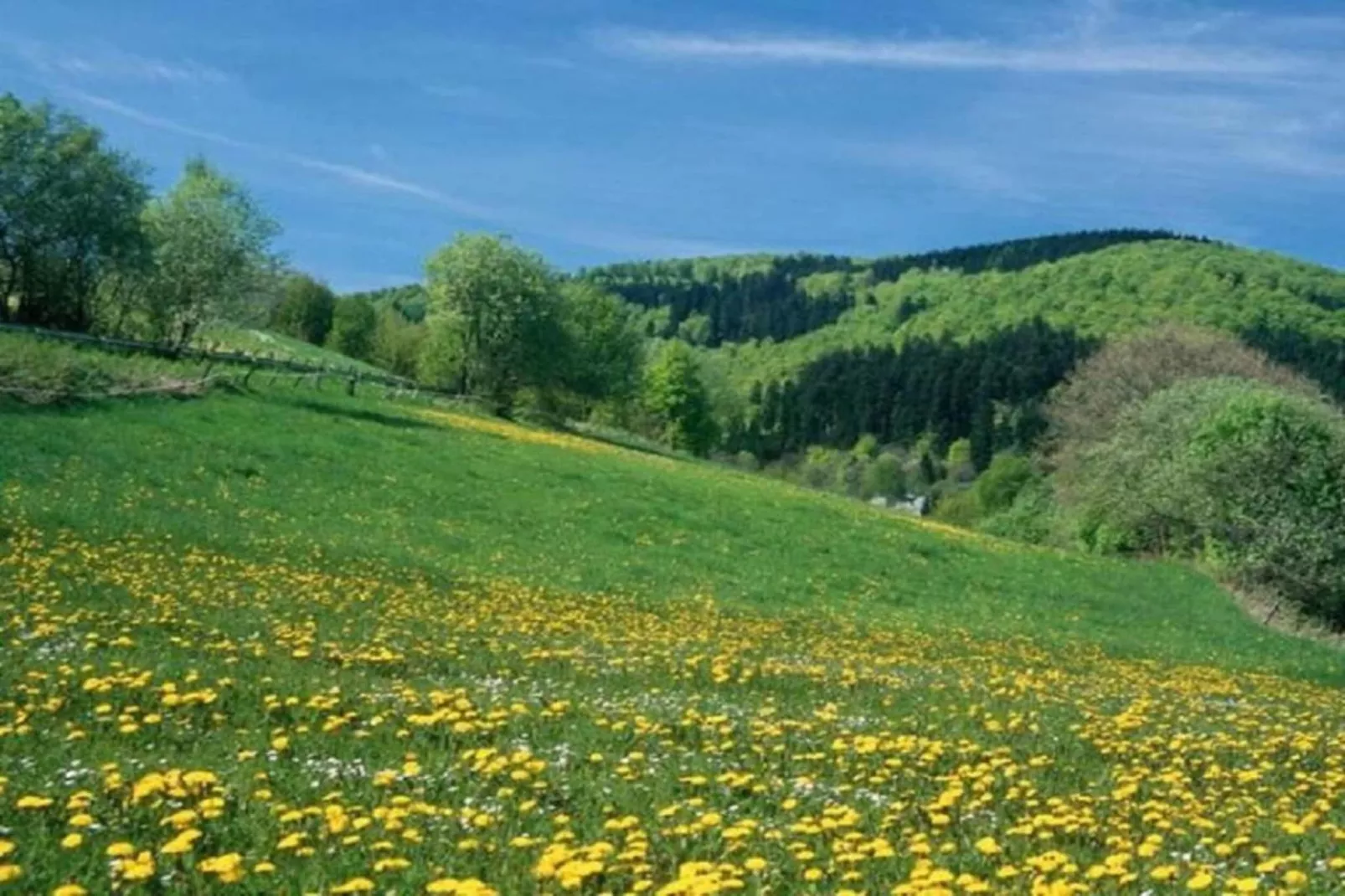 Sauerland-Gebieden zomer 5km