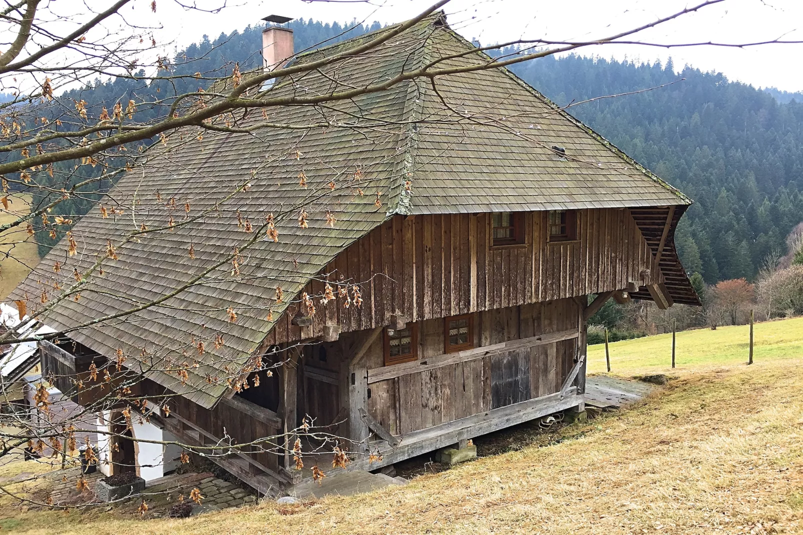 Schwarzwald-Buitenkant zomer