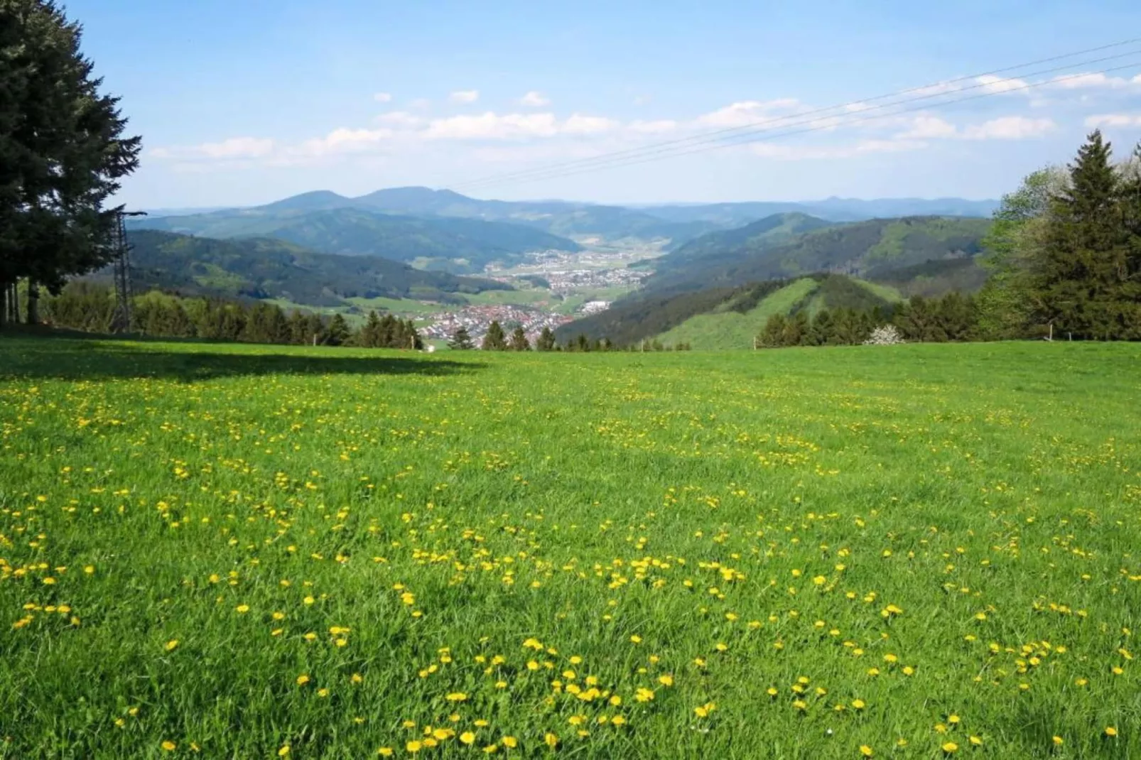 Schwarzwald - Gummenstein-Gebieden zomer 20km