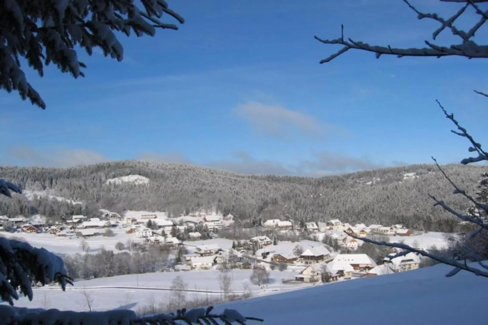 Altes Forsthaus-Gebied winter 20km
