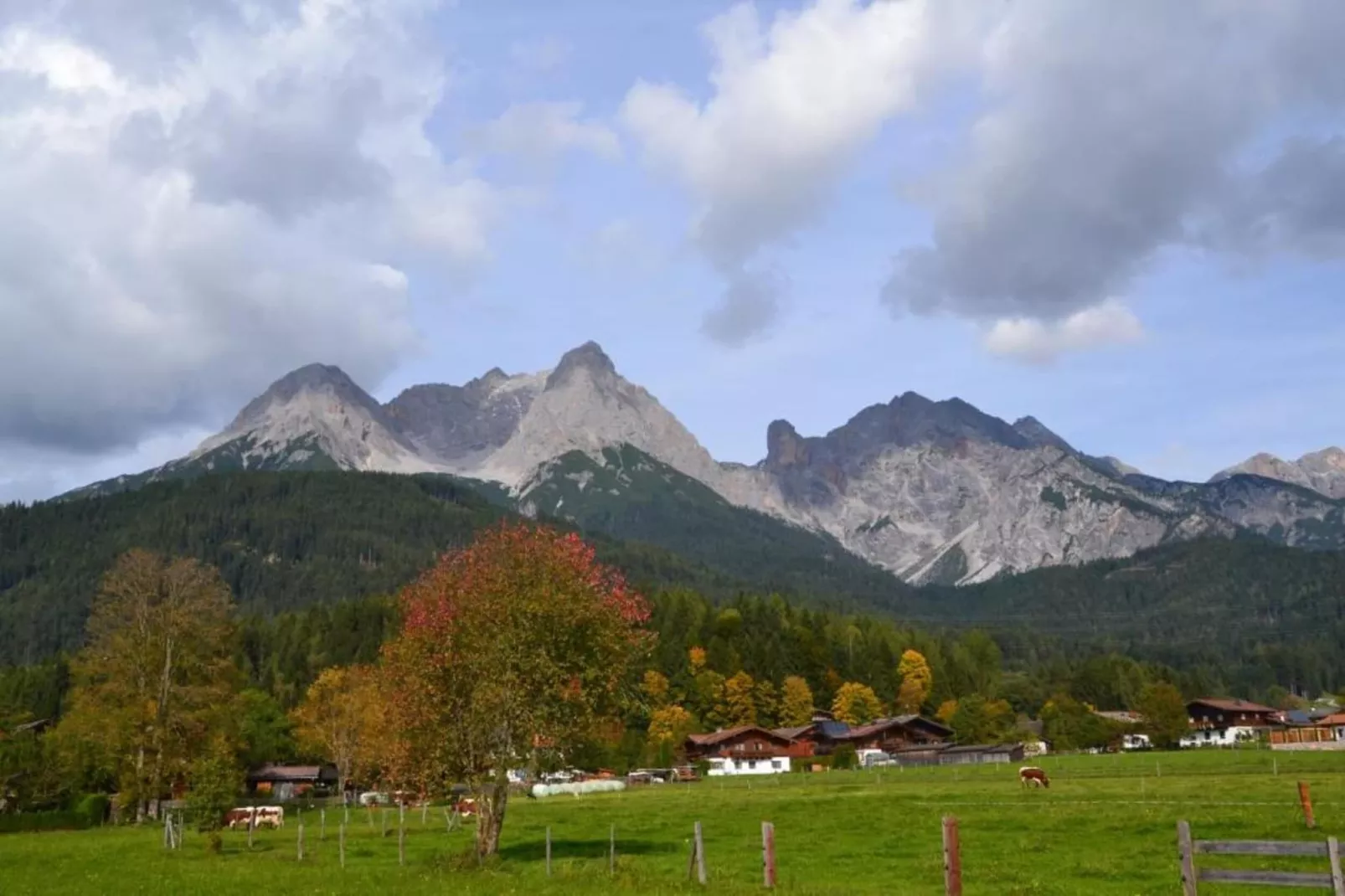 Altes Forsthaus-Gebieden zomer 20km