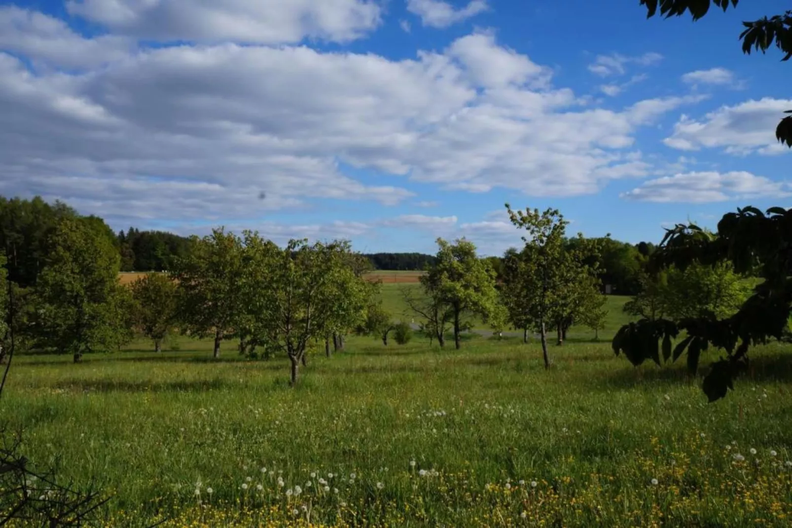 Has'n Res-Gebieden zomer 20km