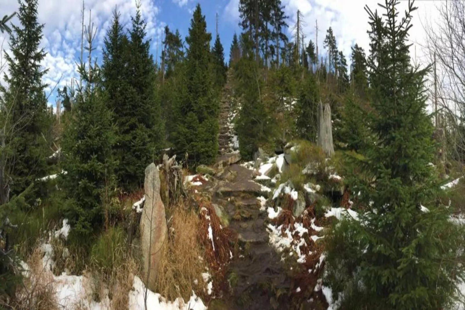 Talblick-Gebieden zomer 20km