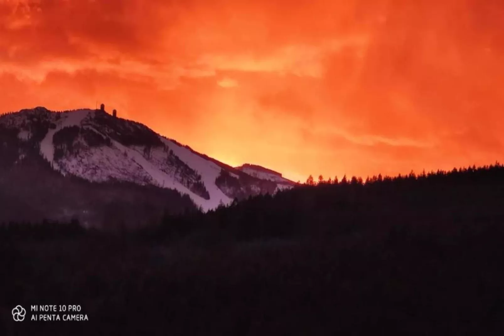 Wildrose-Gebieden zomer 20km