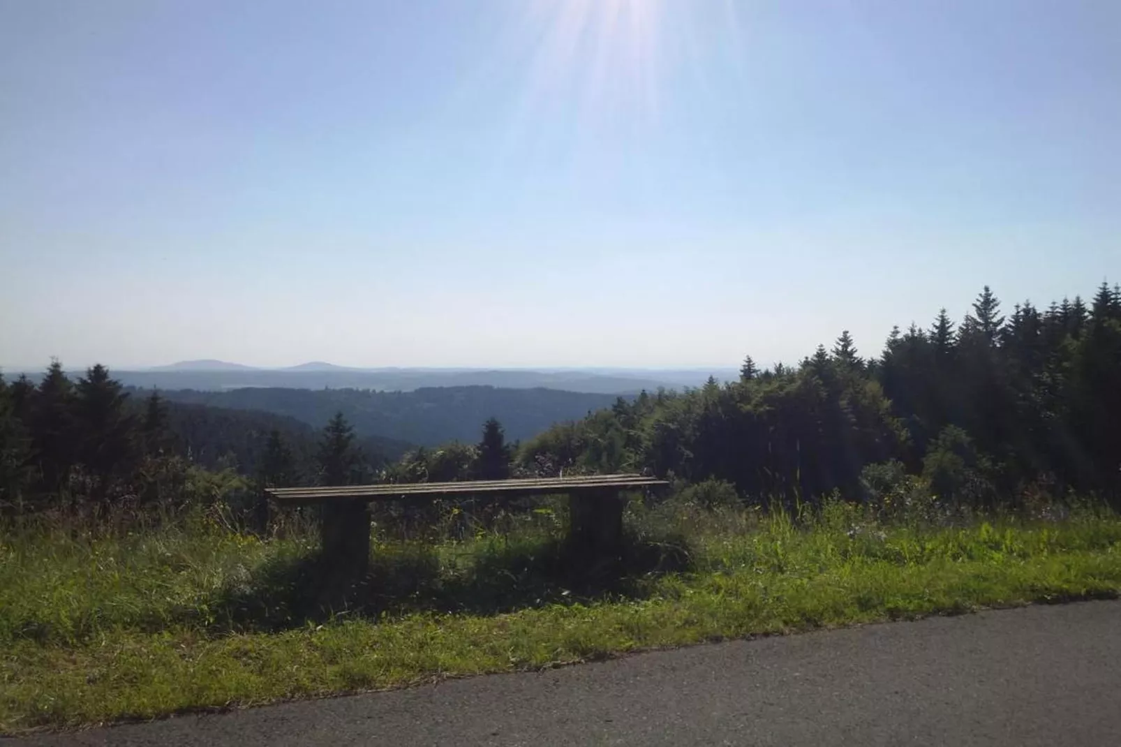 Björn-Gebieden zomer 20km