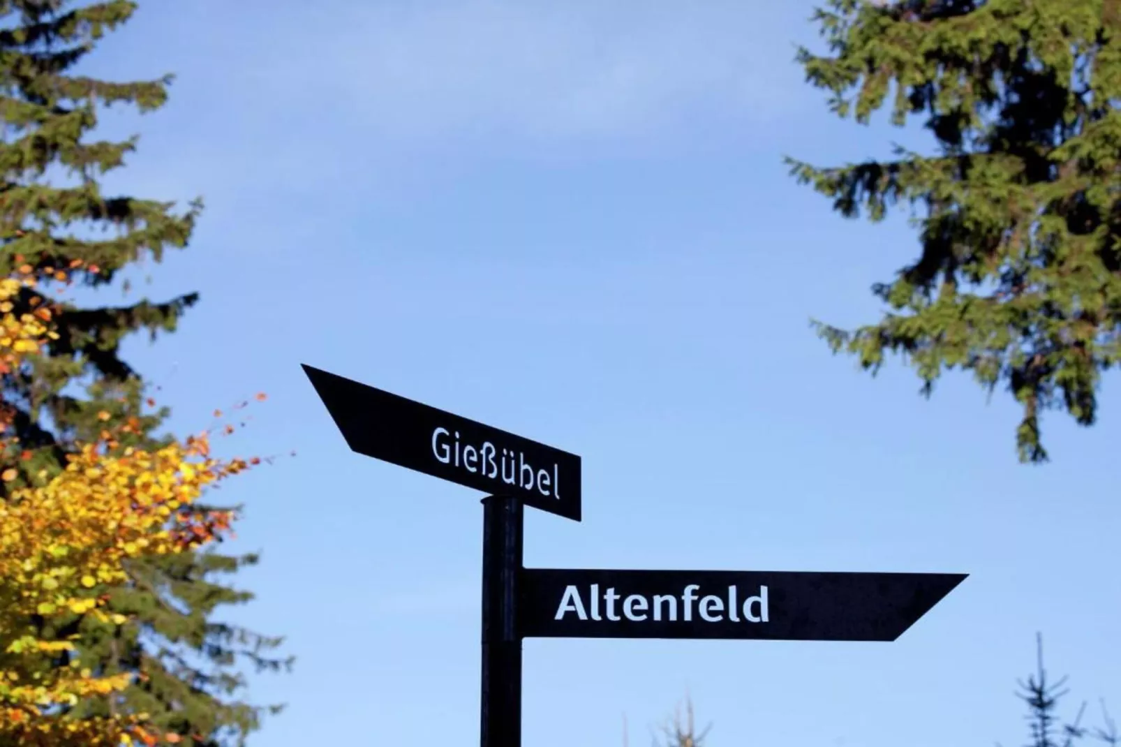 Altenfeld-Gebieden zomer 5km
