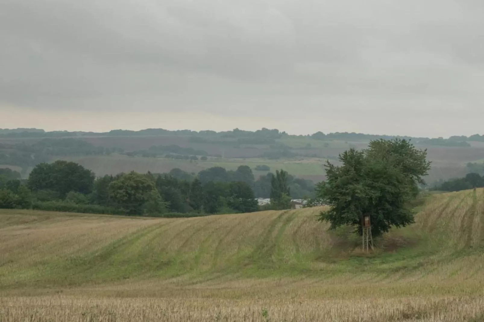 Neustadt-Gebieden zomer 20km
